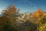 nebolu