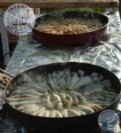 stiklal Yolu Yryleri nebolu'da.