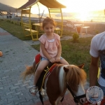 EHT ARF DEMREL KENT ORMANI AILII N GN SAYIYOR