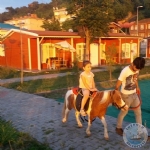 EHT ARF DEMREL KENT ORMANI AILII N GN SAYIYOR