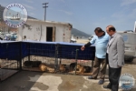 Belediyemizden Ev Ve Sokak Hayvanlarna Ynelik Kampanya .