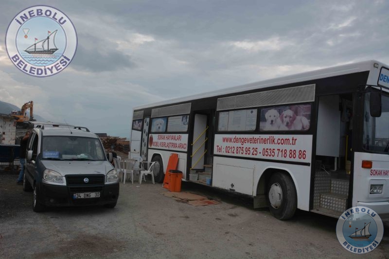 Belediyemizden Sokak Hayvanlarna Ynelik Kampanya!