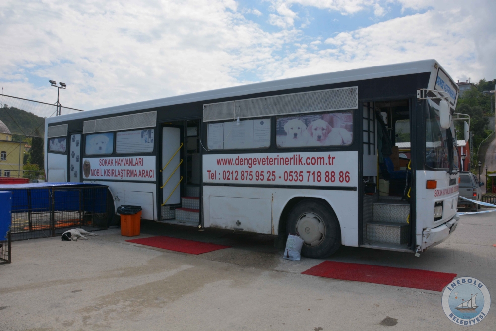 BELEDYEMZDEN SOKAK HAYVANLARINA YNELK ALIMA