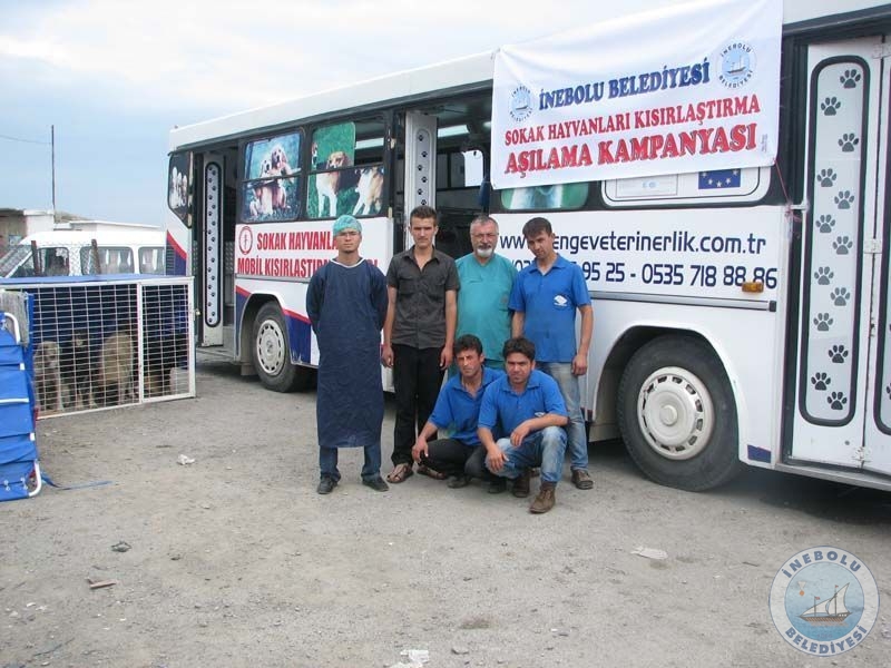 Belediyemizden Sokak Hayvanlarnn slahnda rnek alma....