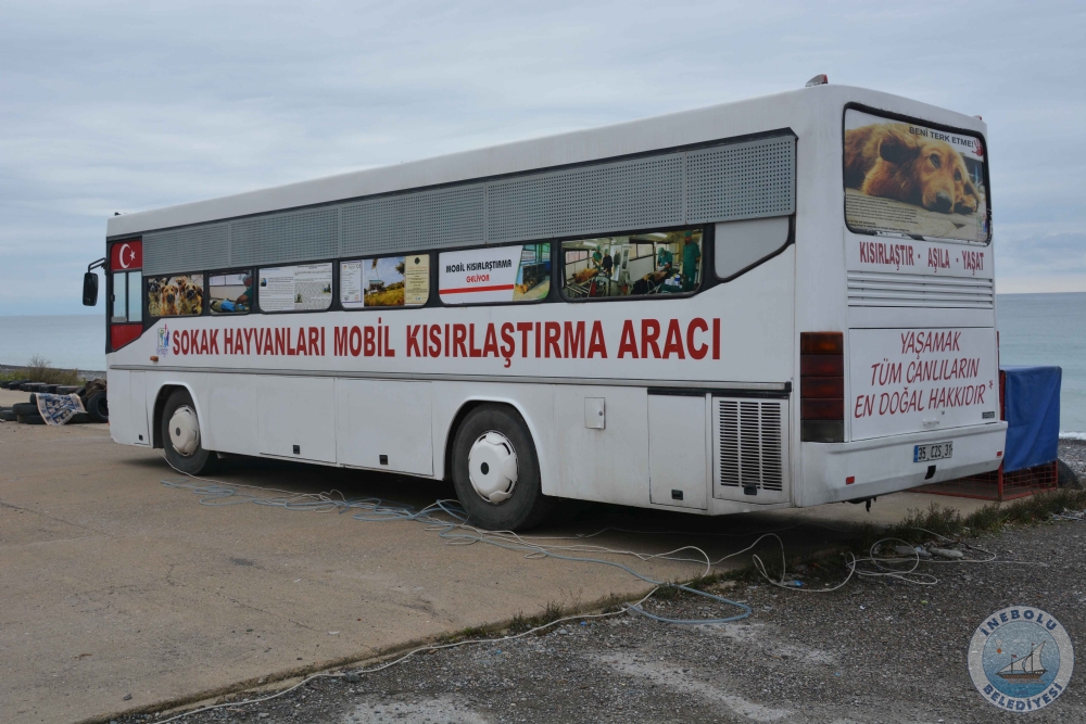 BELEDYEMZDEN SOKAK HAYVANLARINA YNELK ALIMA