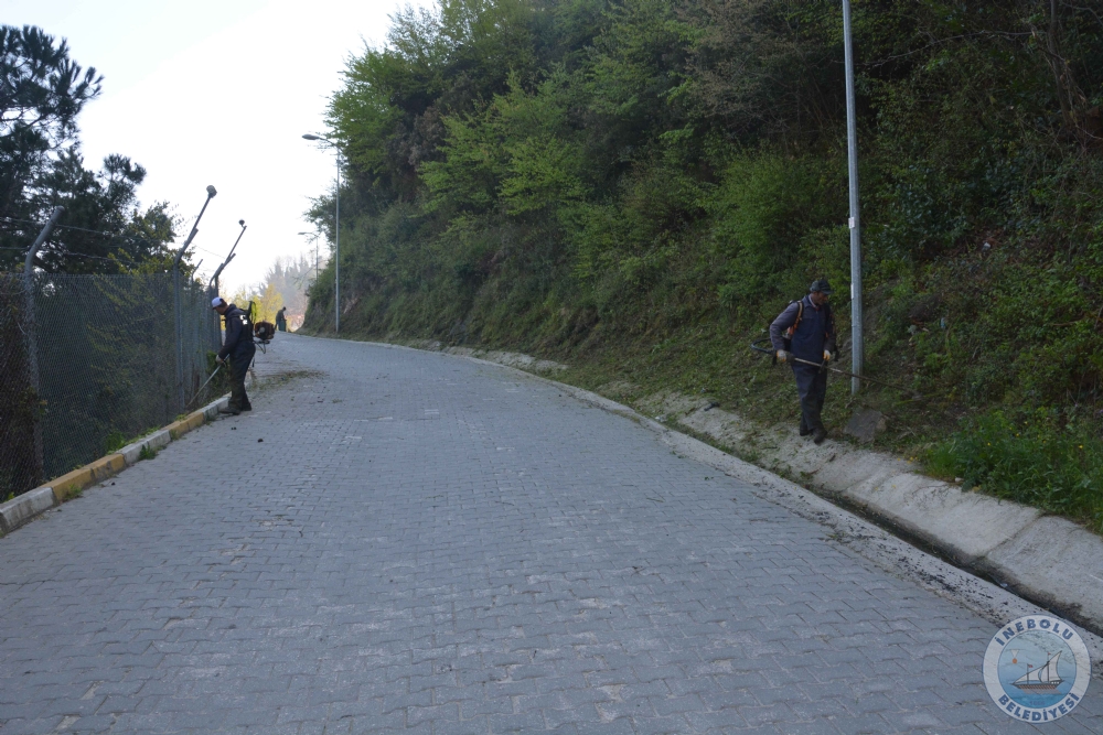 BELEDYEMZDEN BAHAR TEMZL