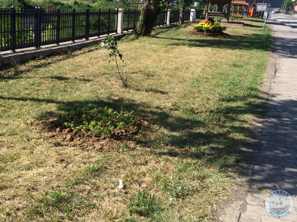 ABDURRAHMAN PAA CADDES YOL KENARINA PEYZAJ DZENLEMES