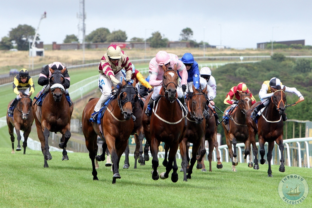 ERFE BACI KUPASI KOUSUNDA HEYAMOLA EKBMZ YER ALACAK