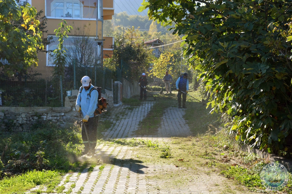 BELEDYEMZDEN EVRE TEMZLNE DEVAM