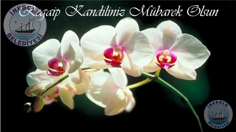 Belediye Bakanmz Engin Uzuner'in Regaip Kandili Mesaj!