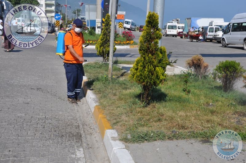 Belediyemizden Kene lalamas