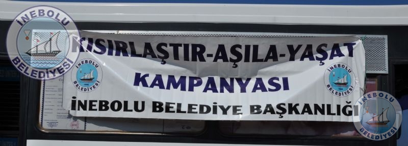 Belediyemizden Sokak Hayvanlarna  Ynelik alma